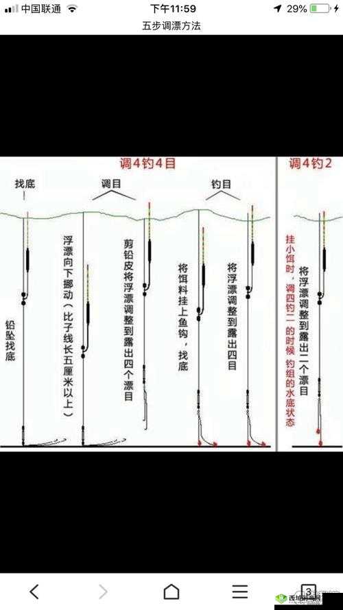 扣水的正确方法视频教程:详细步骤与技巧