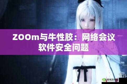 Zoom 与牛性胶 ZOOm 区别:深度剖析对比
