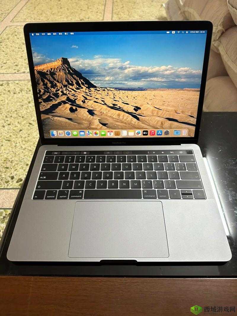 19 岁 MACBOOKPRO 欧美:青春与科技的交融