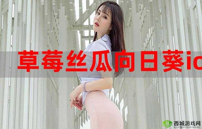 草莓丝瓜:美味与营养的完美结合