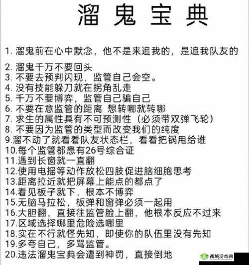 双枪小帅全面解析:属性特征获取方法及实战攻略宝典