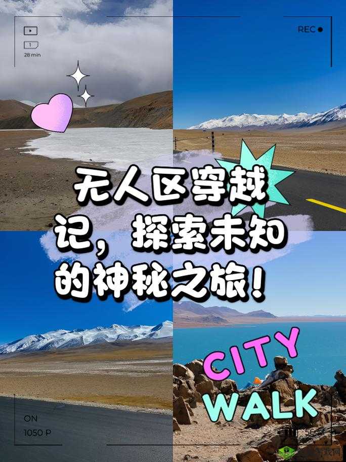 无人区码一码二码三码网页:探索未知的冒险之旅