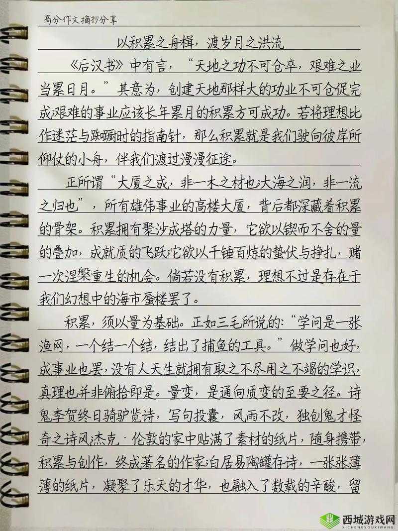 《落水狗杀戮岁月:实战操作指南》