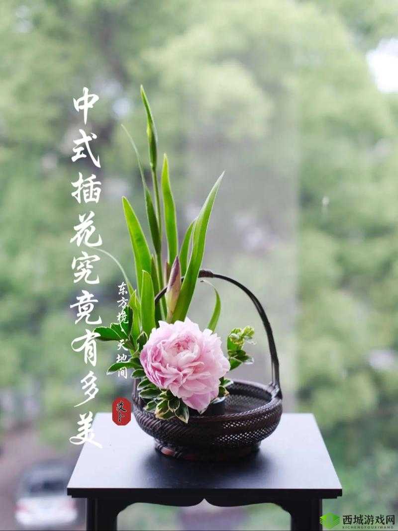 插花弄玉曲径通幽又重新上线了：带你领略全新魅力与精彩