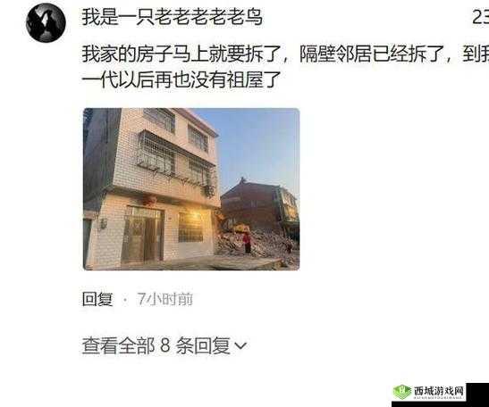 82 岁老人寻觅 20 多岁小伙伴被迫取消了:背后原因令人深思