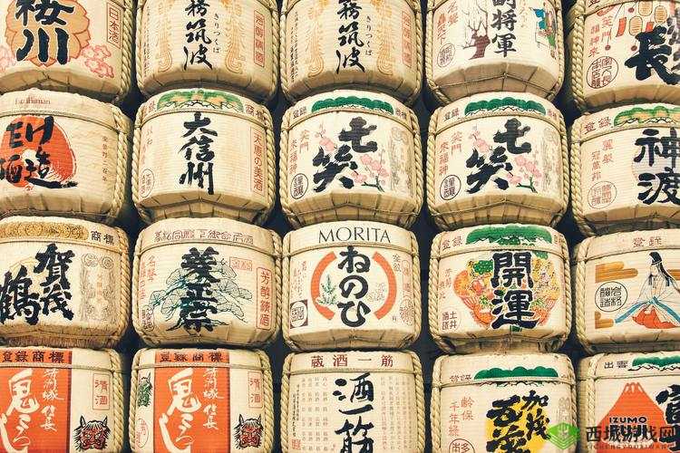 麻花豆传媒剧国产电影:独特视角展现别样风情