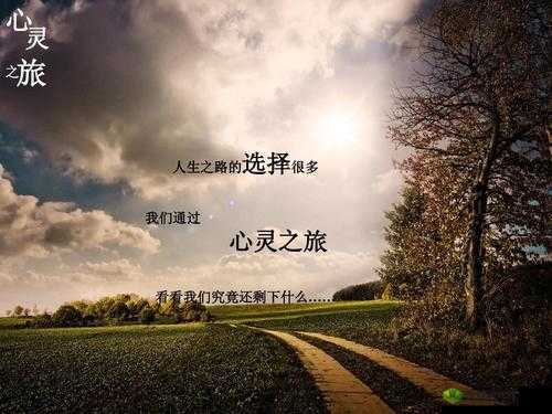 深入交流视频素材:开启心灵对话的精彩之旅
