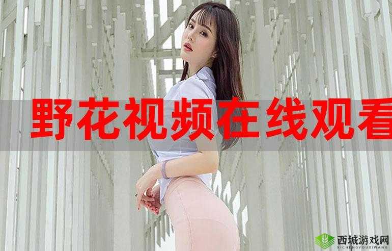野花日本韩国免费观看 7:远离成人伦理,畅享纯净视觉盛宴