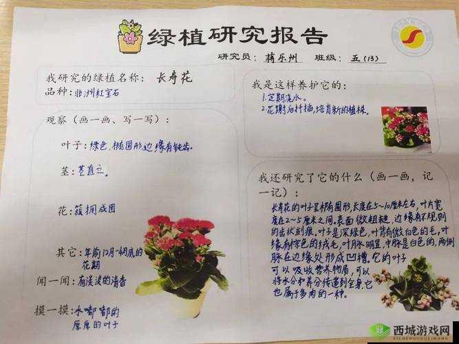 嫩草一二三:关于嫩草的详细介绍与相关内容探讨