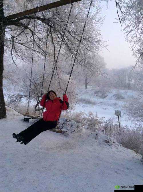 东北那旮瘩母与子写的什么:关于母与子的故事和情感表达