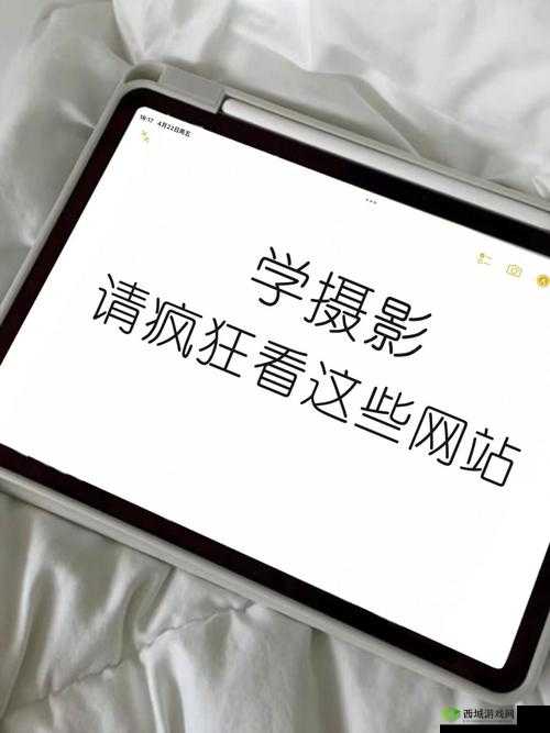 爱好者论坛:汇聚各类爱好者的交流平台
