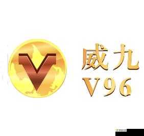 威久国际 2024 ：从 78m.ppt 开启新征程