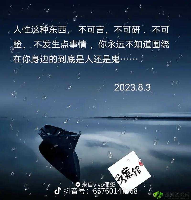 137 人但人文视频:探寻人性的深度与广度