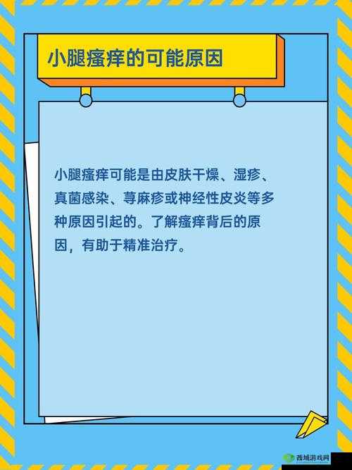 50 岁淑芬两腿间又痒了:探寻原因与解决方案