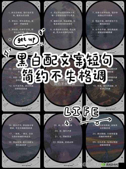 EveIynCIairn 黑白配:时尚与经典的完美碰撞