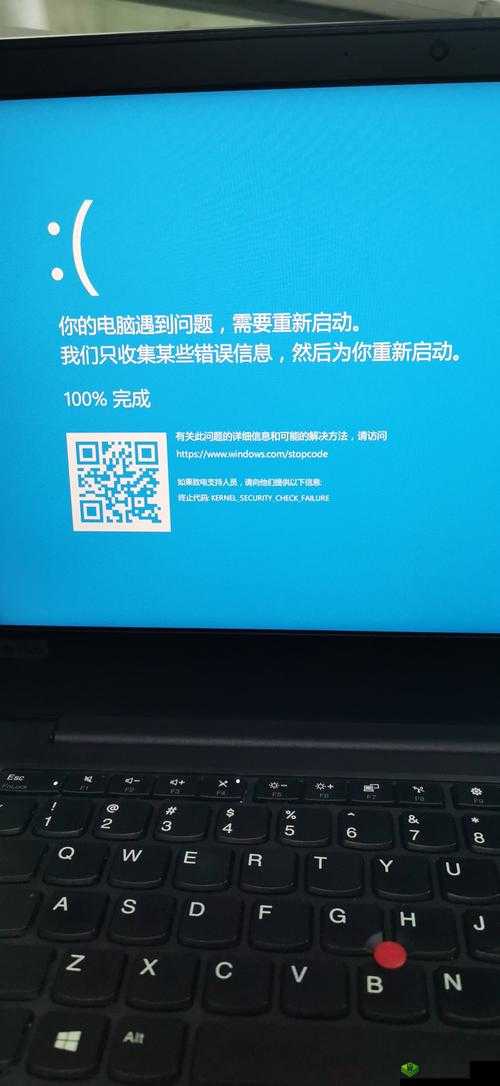 终结者2蓝屏闪退之谜,探寻游戏异常的根源