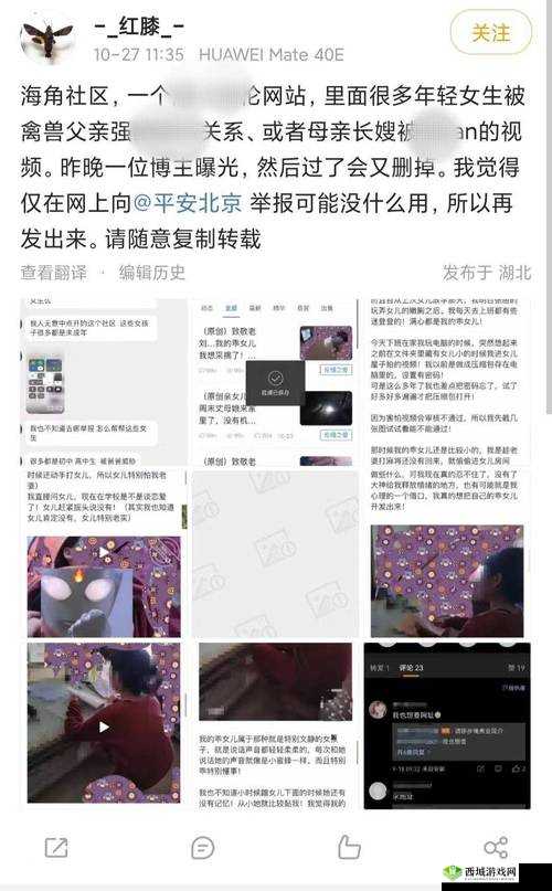海角社区披风封神妈妈稿件:深度解析背后的故事与影响