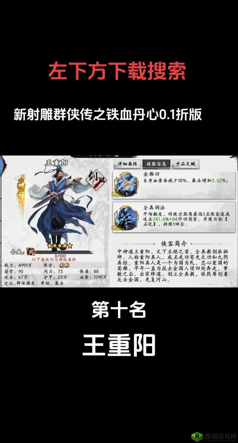 新射雕群侠传之铁血丹心阳顶天阵容搭配技巧攻略，资源管理的艺术