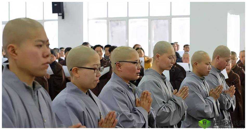 尼姑也快乐:探寻佛教修行与现代生活的奇妙融合