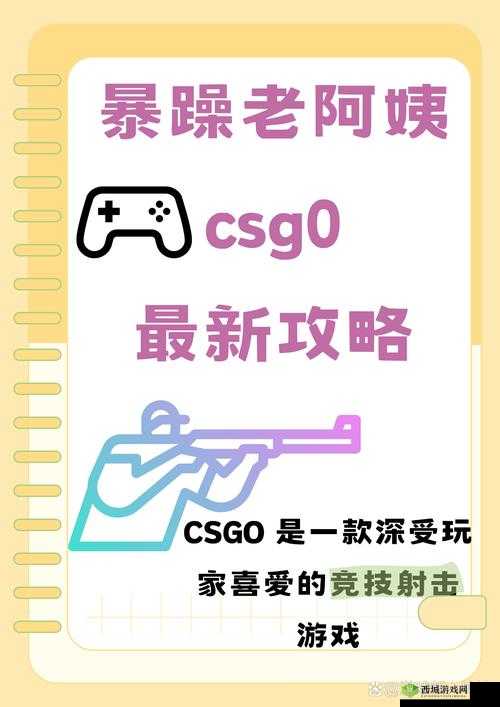 暴躁日本老阿姨 csgo 中门对狙,网友直呼:学到了